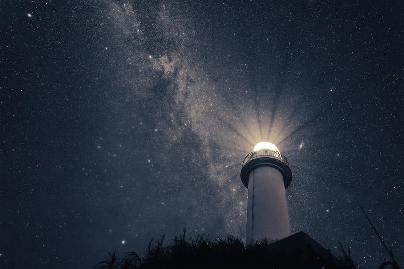 Plants under Milky Way
